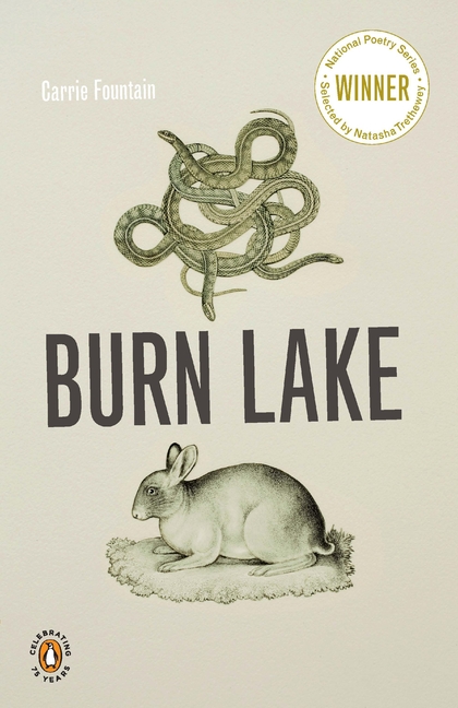 Cover of Burn Lake
