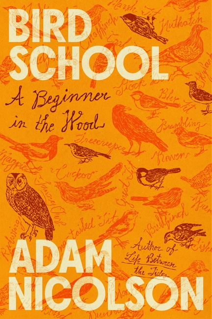 Cover of Bird School: A Beginner in the Wood