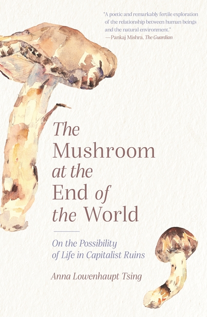 Cover of Mushroom at the End of the World: On the Possibility of Life in Capitalist Ruins