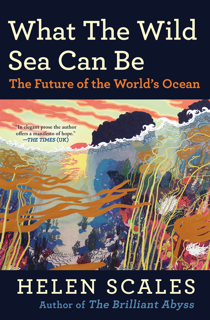 Cover of What the Wild Sea Can Be: The Future of the World's Ocean