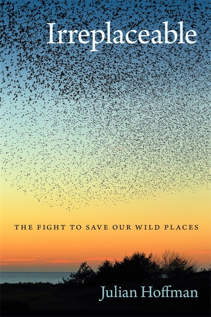Cover of Irreplaceable: The Fight to Save Our Wild Places