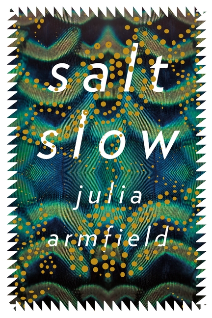 Cover of Salt Slow