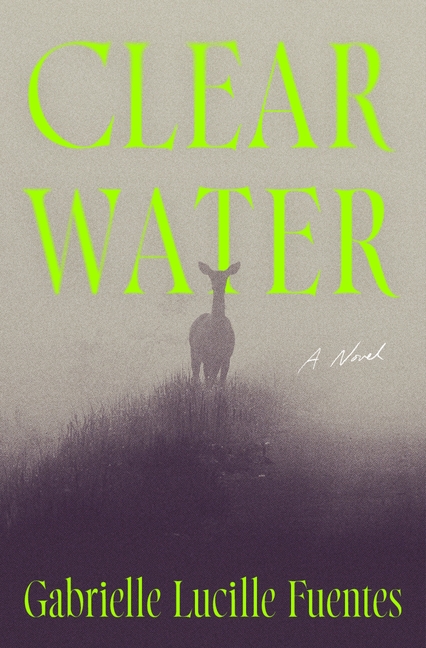 Cover of Clear Water