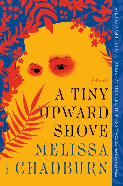 Cover of Tiny Upward Shove