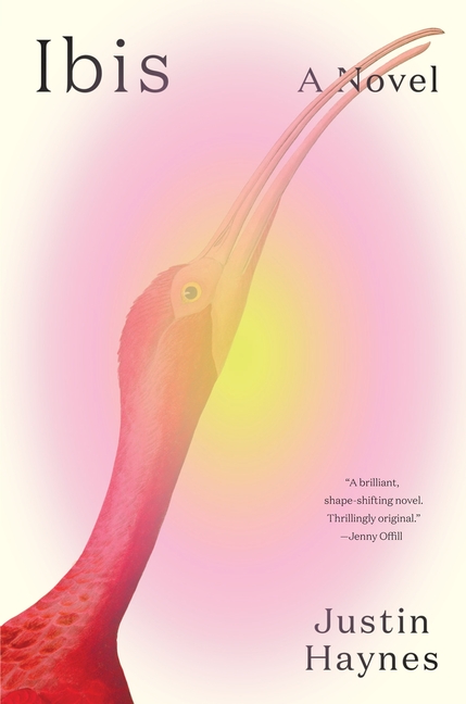 Cover of Ibis